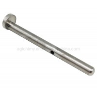 OEM Stainless Steel 303 Parts/ Axe Hinge